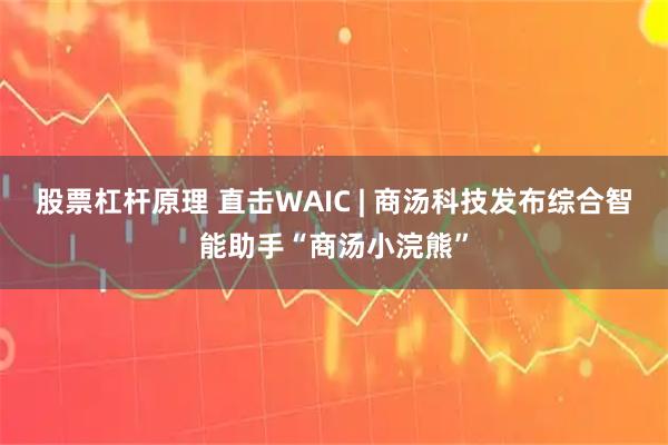 股票杠杆原理 直击WAIC | 商汤科技发布综合智能助手“商汤小浣熊”